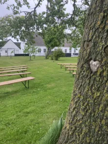 Udendørs bryllupsvielse i naturen ved Havrevang, Lønstrup